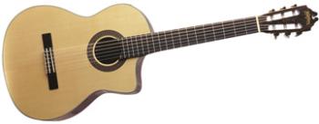 WA-C104SCE-N