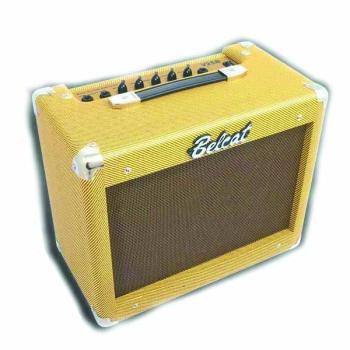 25W Vintage Bass Amp (BE-V25B)