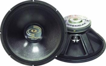 Professional PA Woofer (PY-PPA)