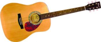 Deluxe Acoustic Guitar (KN-K-STALLION)