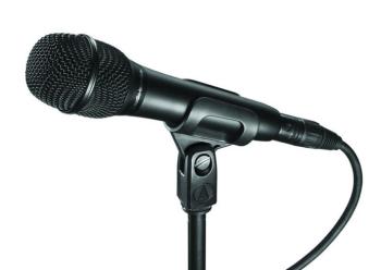 Cardioid Condenser Handheld Microphone               (AI-AT2010)
