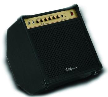 35-watt Bass Amplifier (CI-CB-35)