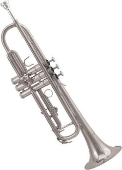 Silver Plated Deluxe Trumpet Outfit (EM-ETR604S)