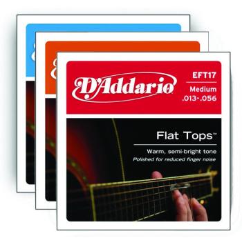 Flat Tops Polished Acoustic Guitar Strings (DA-EFT)